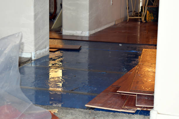 Professional Basement Flood Cleanup technician working in Windsor, IL